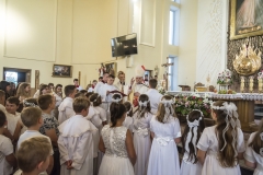JAROSLAW_23_06_2022_WPROWADZENIE_RELIKWII_SWIETEJ_MALGORZATY_ALACOUQE_287