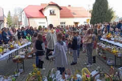 IMG_20240330_110945