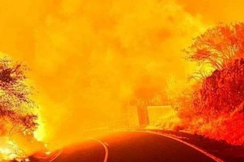 XX Niedziela Zwykła – 17 sierpnia 2025