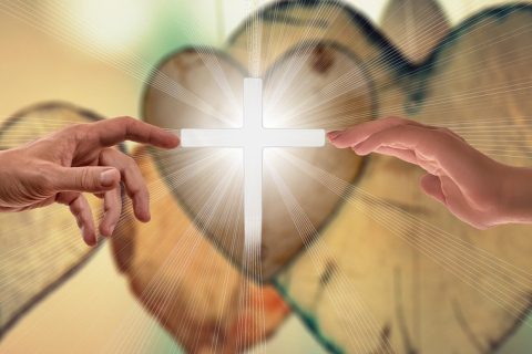 IV Niedziela Zwykła – 1 luty 2026 r.