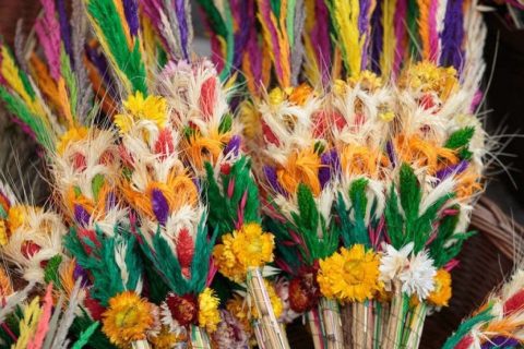 Niedziela Palmowa – Męki Pańskiej – 29 marca 2026 r.